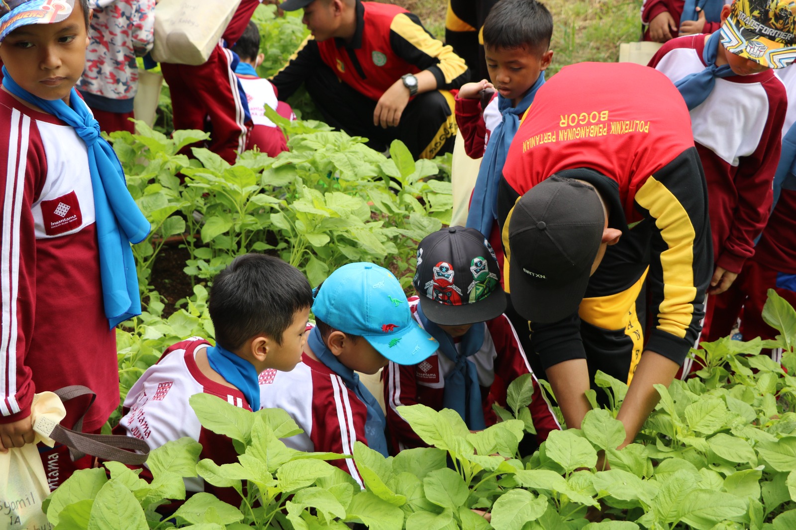 biaya kuliah Polbangtan Bogor