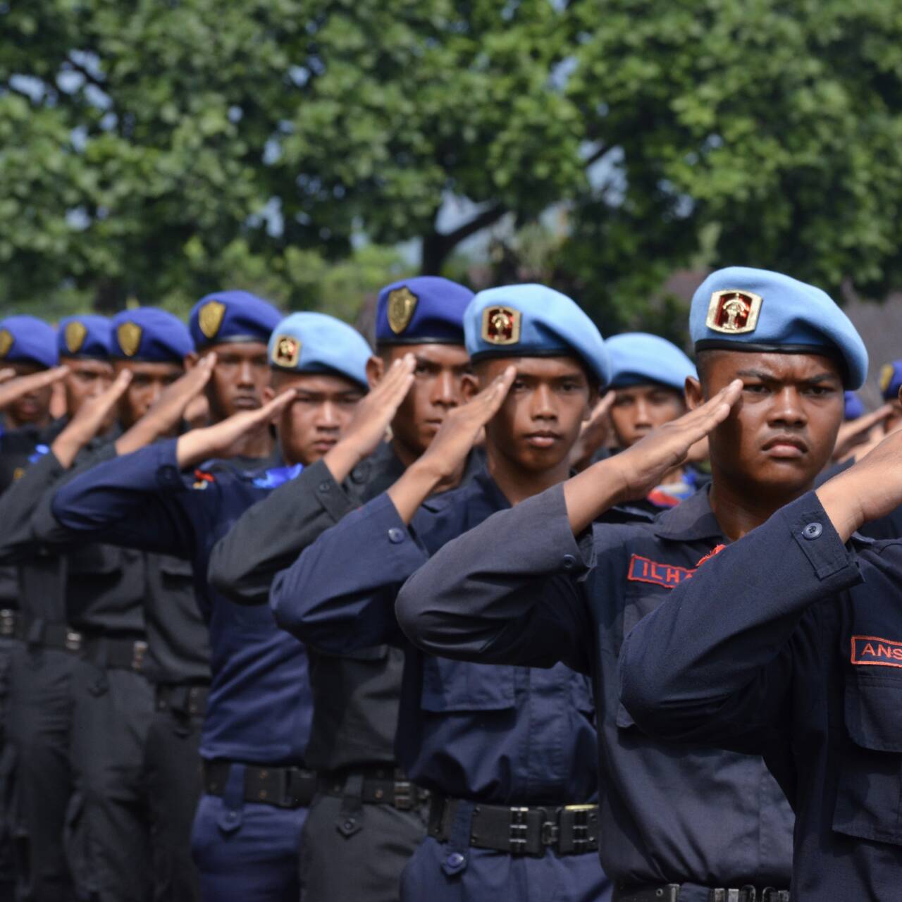 lulusan poltekip jadi apa