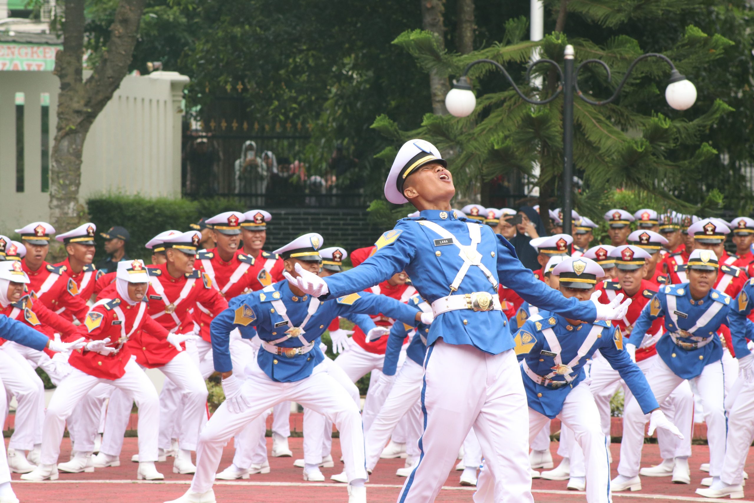 sekolah kedinasan untuk jurusan IPS