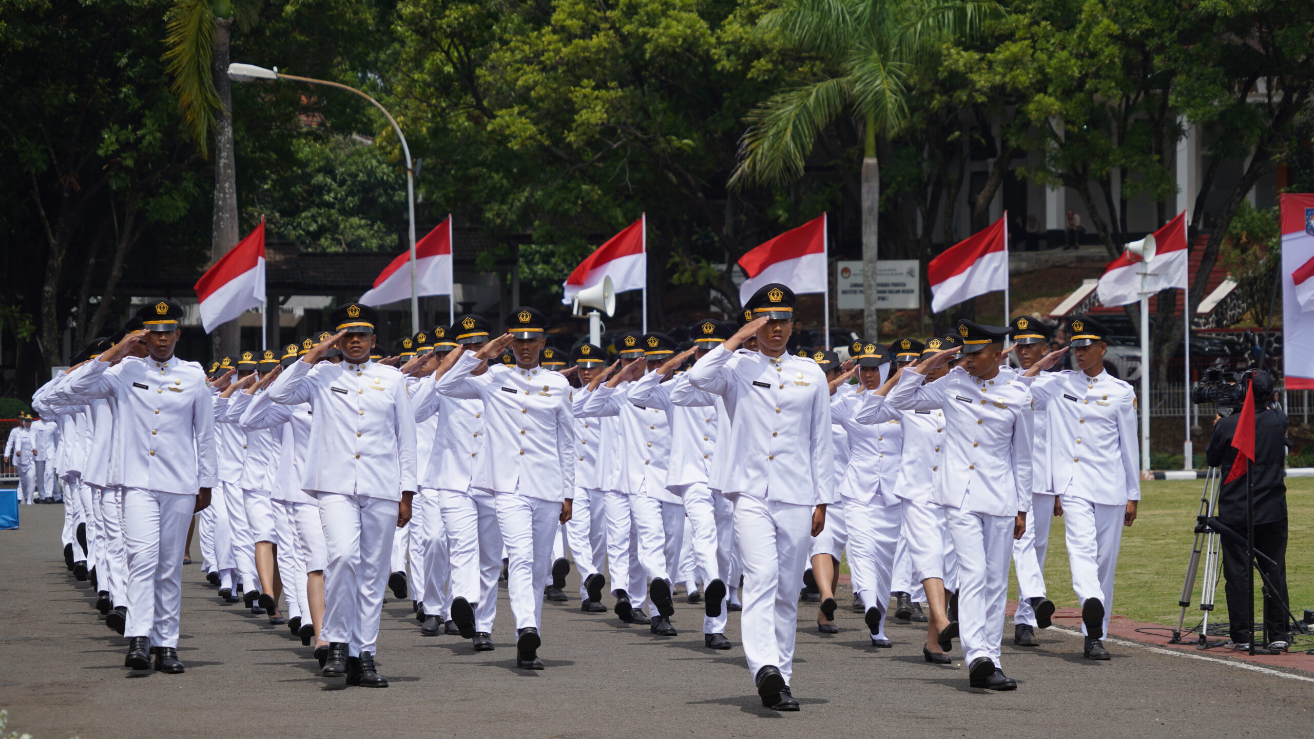 pengumuman IPDN 2025