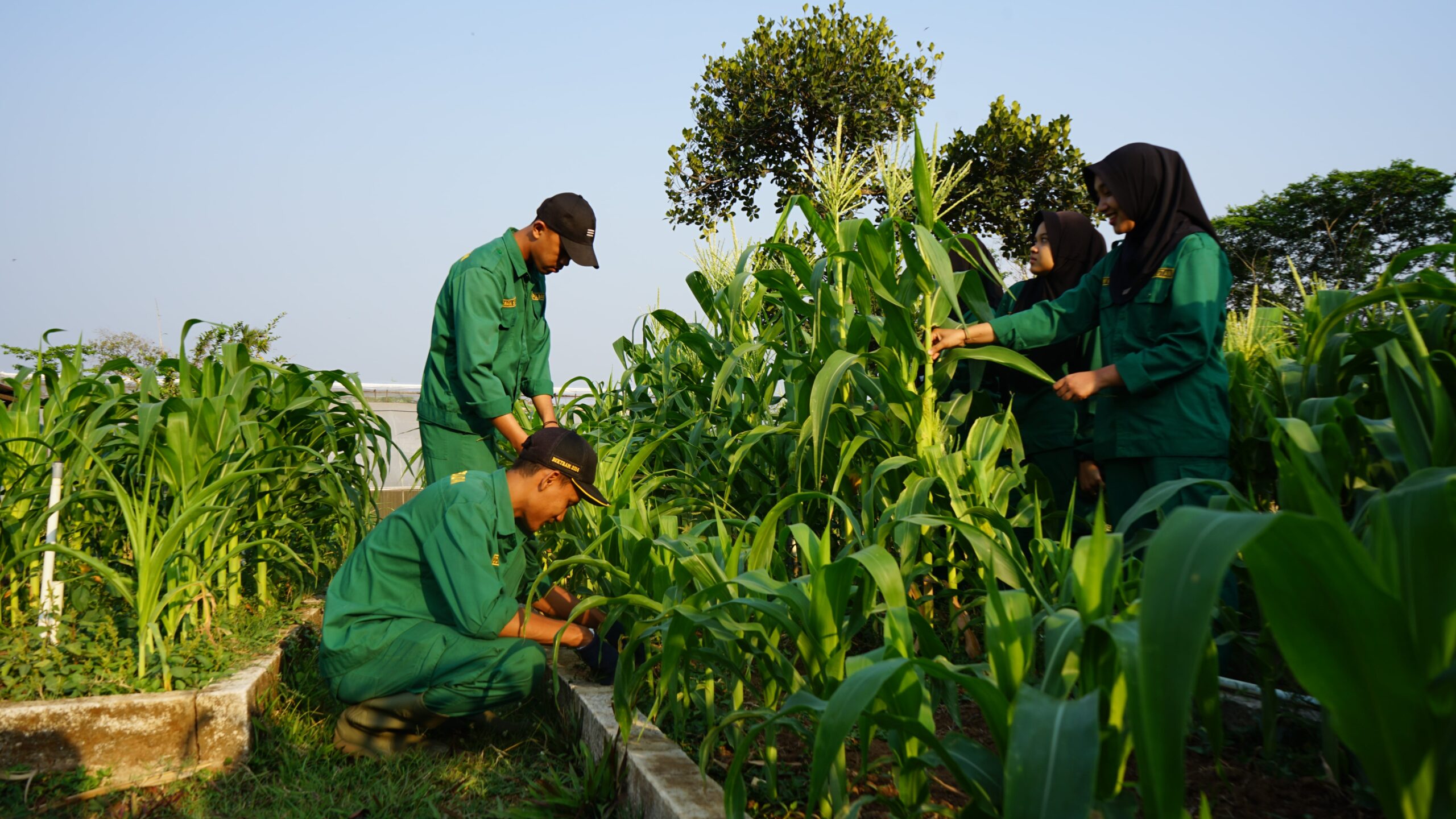 sekolah kedinasan di malang